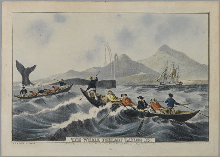 Nathaniel Currier lithograph circa 1852 showing whaleboats pursuing sperm whales alongside a whaling ship