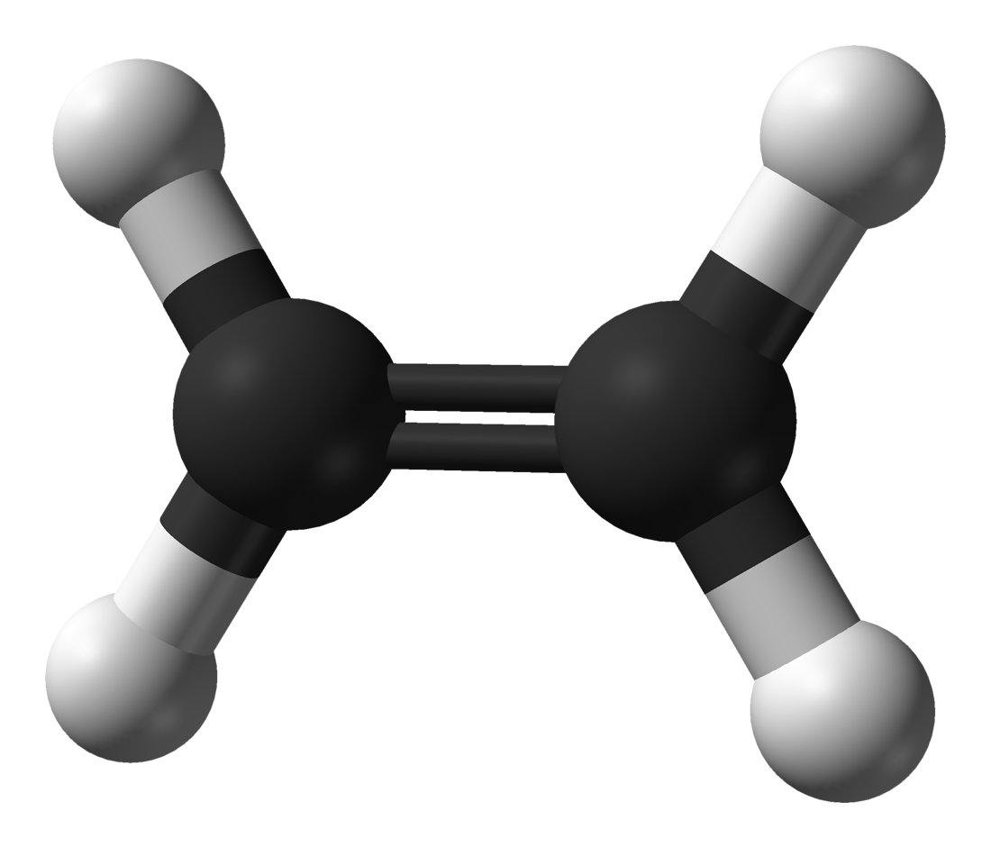 Ethylene molecule ball and stick model